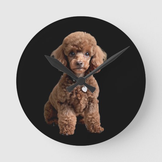 Teacup Poodle 2 Runde Wanduhr (Vorderseite)