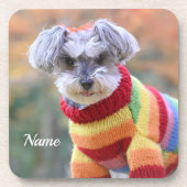 Teacup Schnauzer Welpenhund in einem Pullover Getränkeuntersetzer (Vorderseite)