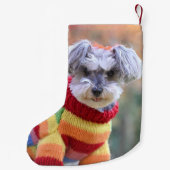 Teacup Schnauzer Welpenhund in einem Pullover Kleiner Weihnachtsstrumpf (Rückseite)