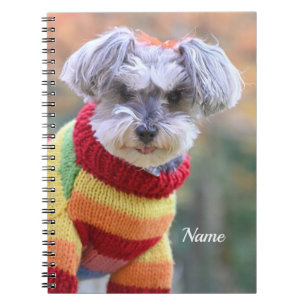 Teacup Schnauzer Welpenhund in einem Pullover Notizblock