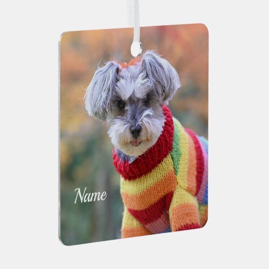 Teacup Schnauzer Welpenhund in einem Pullover Ornament Aus Metall (Vorderseite Rechts)