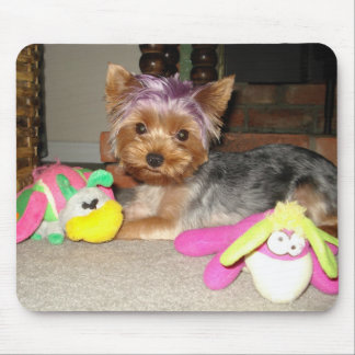 Teacup Yorkie lila Prinzessin Mousepad