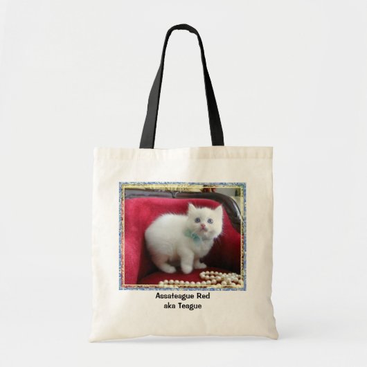 TEAGUE Taschen-Tasche Tragetasche (Vorne)