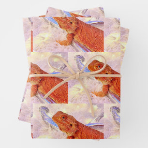 Teak den bärtigen Drachen und die Silbernasen der Geschenkpapier Set