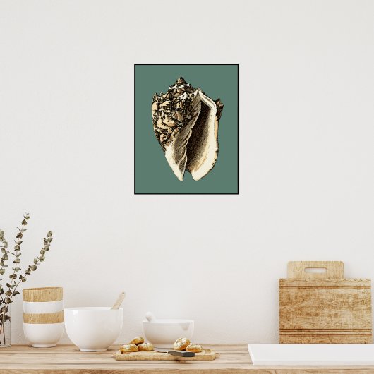 Teal Conch Shell Poster (Küche)