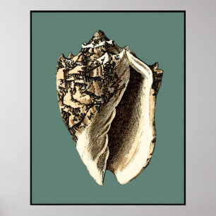 Teal Conch Shell Poster