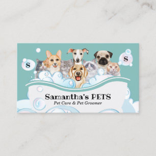 Teal Hunde Katzen Spa Sitter Pflegen PetCare Baden Visitenkarte
