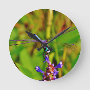 Teal Rainbow Dragonfly Runde Wanduhr