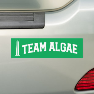 Team Algae Reflecting Pool Lustige Anti-Trump Autoaufkleber