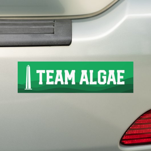 Team Algae Reflecting Pool Lustige Anti-Trump Autoaufkleber (Auf Auto)