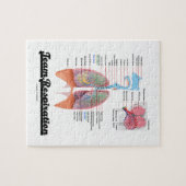 Team-Atmung (Atmungssystem) Puzzle (Horizontal)