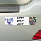 Team B4 Autoaufkleber (Auf Auto)