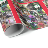 Team B4 Geschenkpapier (Rolleneckpunkt)