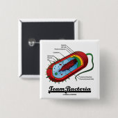 Team-Bakterien (Prokaryote) Button (Vorne & Hinten)