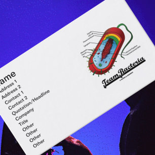 Team-Bakterien (Prokaryote) Visitenkarte