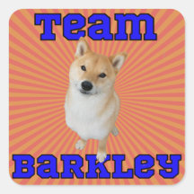 Team Barkley - eckige Aufkleber, glänzend