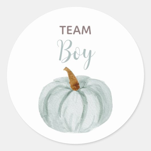 TEAM BLUE Gender Reveal Baby Shower Game Labels Runder Aufkleber (Vorderseite)