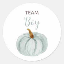 TEAM BLUE Gender Reveal Baby Shower Game Labels Runder Aufkleber