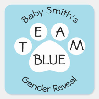 Team Blue Paw Print Gender Reveal Quadratischer Aufkleber