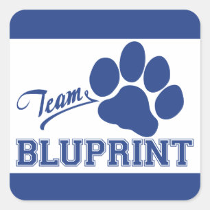 Team BluPrint quadratische Aufkleber