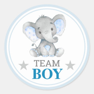 Team Boy I Vote Gender Reveal Baby Shower Sprinkle Runder Aufkleber
