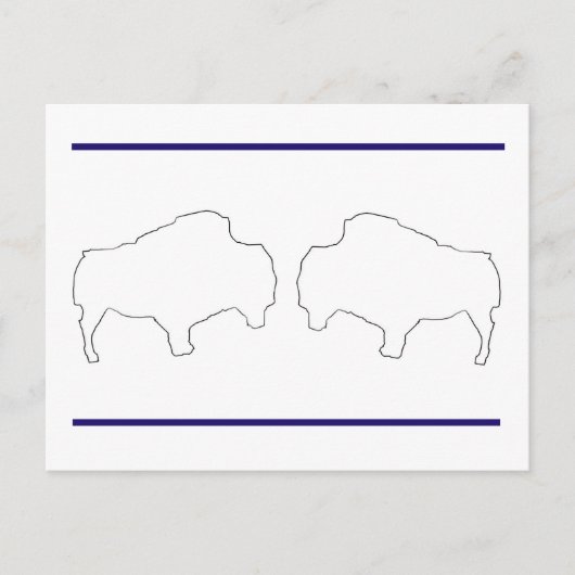 Team Buffalo Postkarte (Vorderseite)