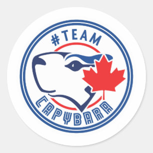 Team Capybara Stickers