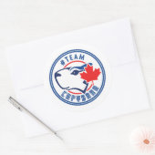 Team Capybara Stickers (Umschlag)