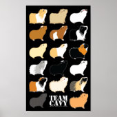 TEAM CAVY POSTER (Vorne)