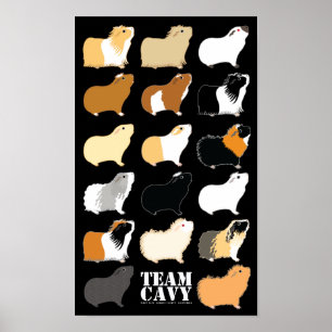 TEAM CAVY POSTER