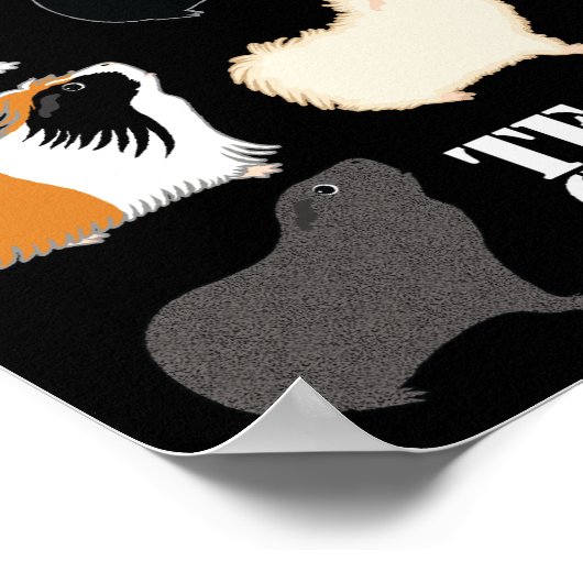 TEAM CAVY POSTER (Ecke)