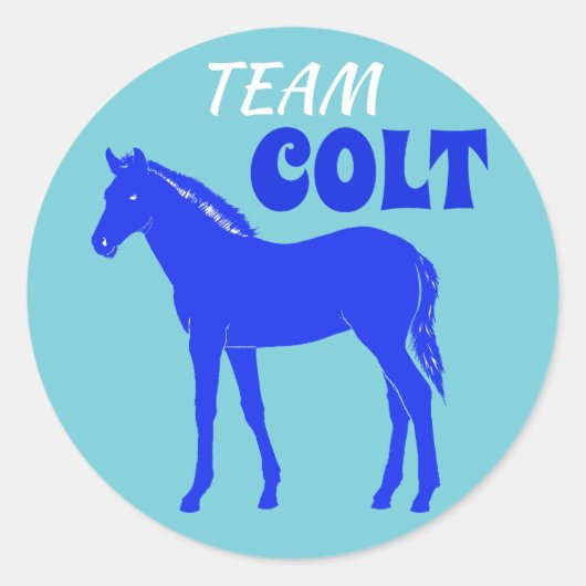 "Team-Colt"-Colt-Genderdarstellung Runder Aufkleber (Vorderseite)