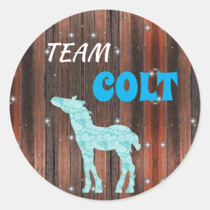 "Team-Colt"-Colt-Genderdarstellung Runder Aufkleber
