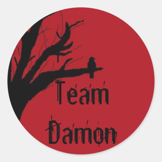 Team Damon Vengeful Crow Runder Aufkleber (Vorderseite)