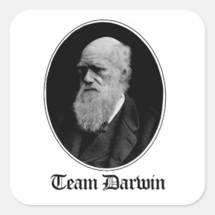 Team Darwin Quadratischer Aufkleber