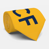 TEAM DCF Neck Tie - Aquamarin Back Krawatte (Gerollt)