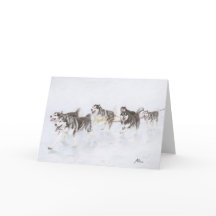 Team des alaskischen Malamute, das durch Schnee