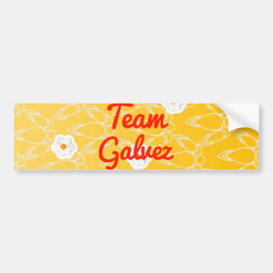 Team Galvez Autoaufkleber