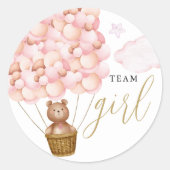 Team Girl Teddy Bear Pink Geschlecht offenbaren Ab Runder Aufkleber (Vorderseite)