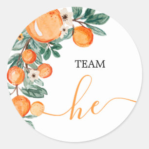 TEAM He Gender Reveal Citrus Orange Game Labels Runder Aufkleber