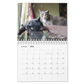 Team ICat tragen für immer ein Kalender (Jan 2026)