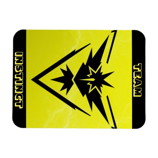 Team Instinkt POGO RAID Car Magnet (Horizontal)