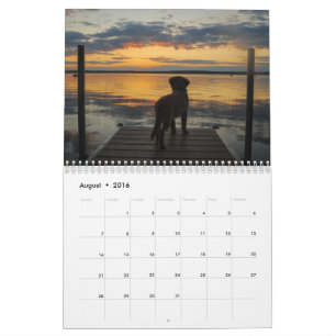 Team Joey Jax 2016 Kalender