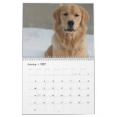 Team Joey Jax 2016 Kalender (Jan 2027)