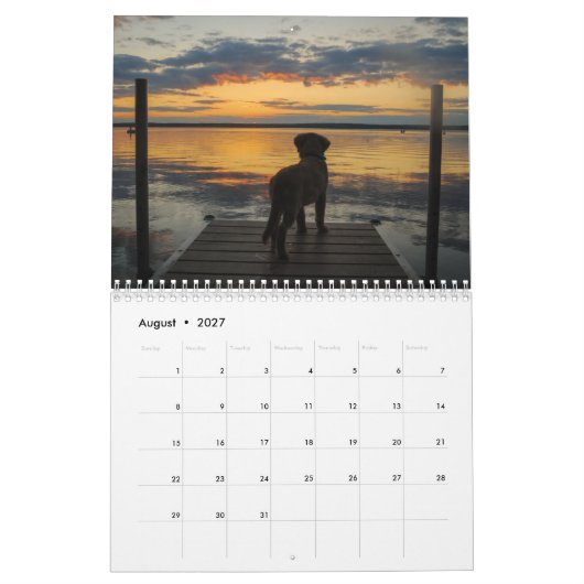 Team Joey Jax 2016 Kalender (Aug 2027)