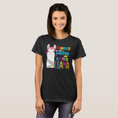 Team Kindergarten Teacher Rainbow No Prob Llama 10 T-Shirt (Vorne ganz)