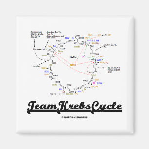 Team Krebs Cycle (Citric Acid Cycle - TCAC) Magnet