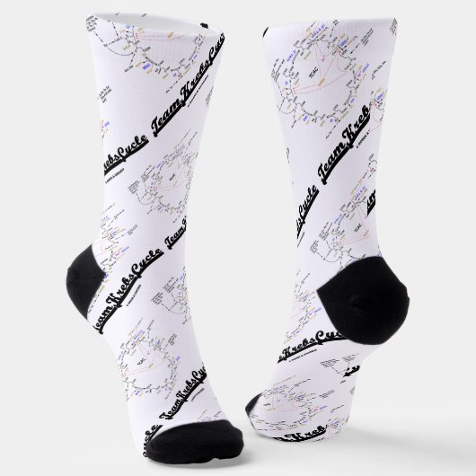 Team Krebs Cycle Citric Acid Cycle TCAC Socken (Gewinkelt)