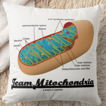 Team Mitochondria (Mitochondrion-Spaß)