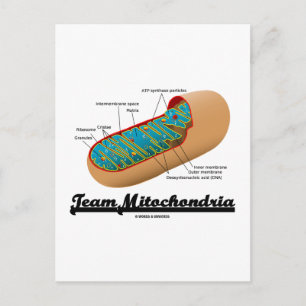 Team Mitochondria (Mitochondrion-Spaß) Postkarte